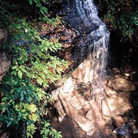 Moore's Cove Falls